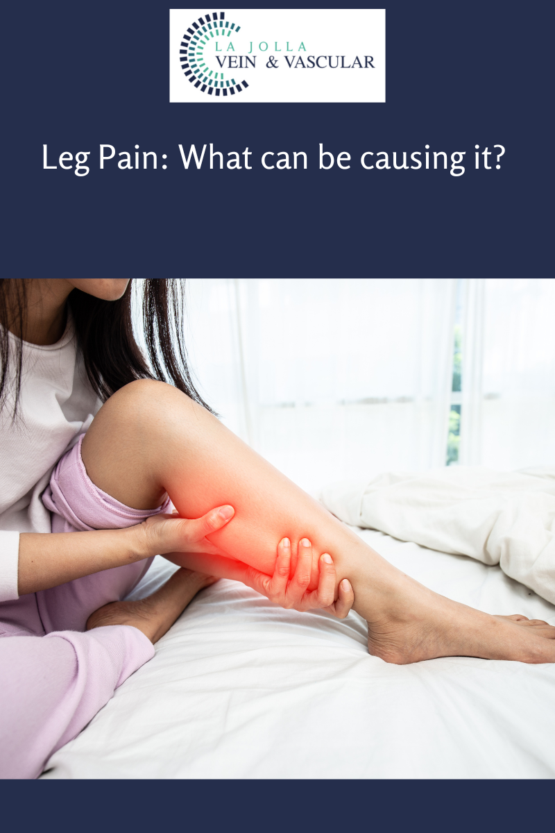 2 leg