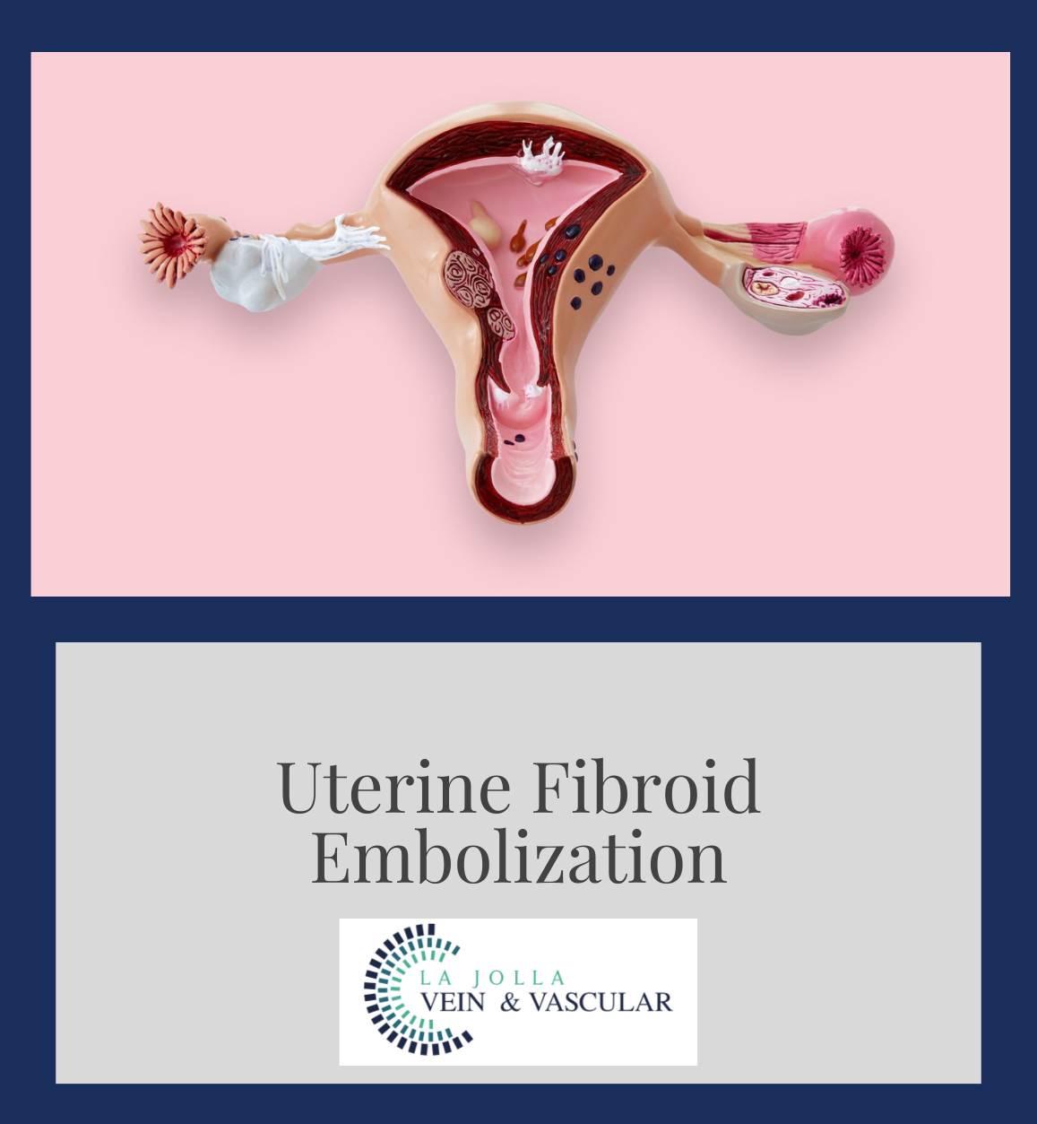uterine