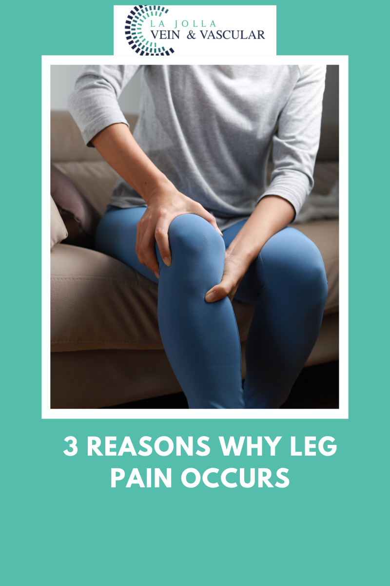 9 leg