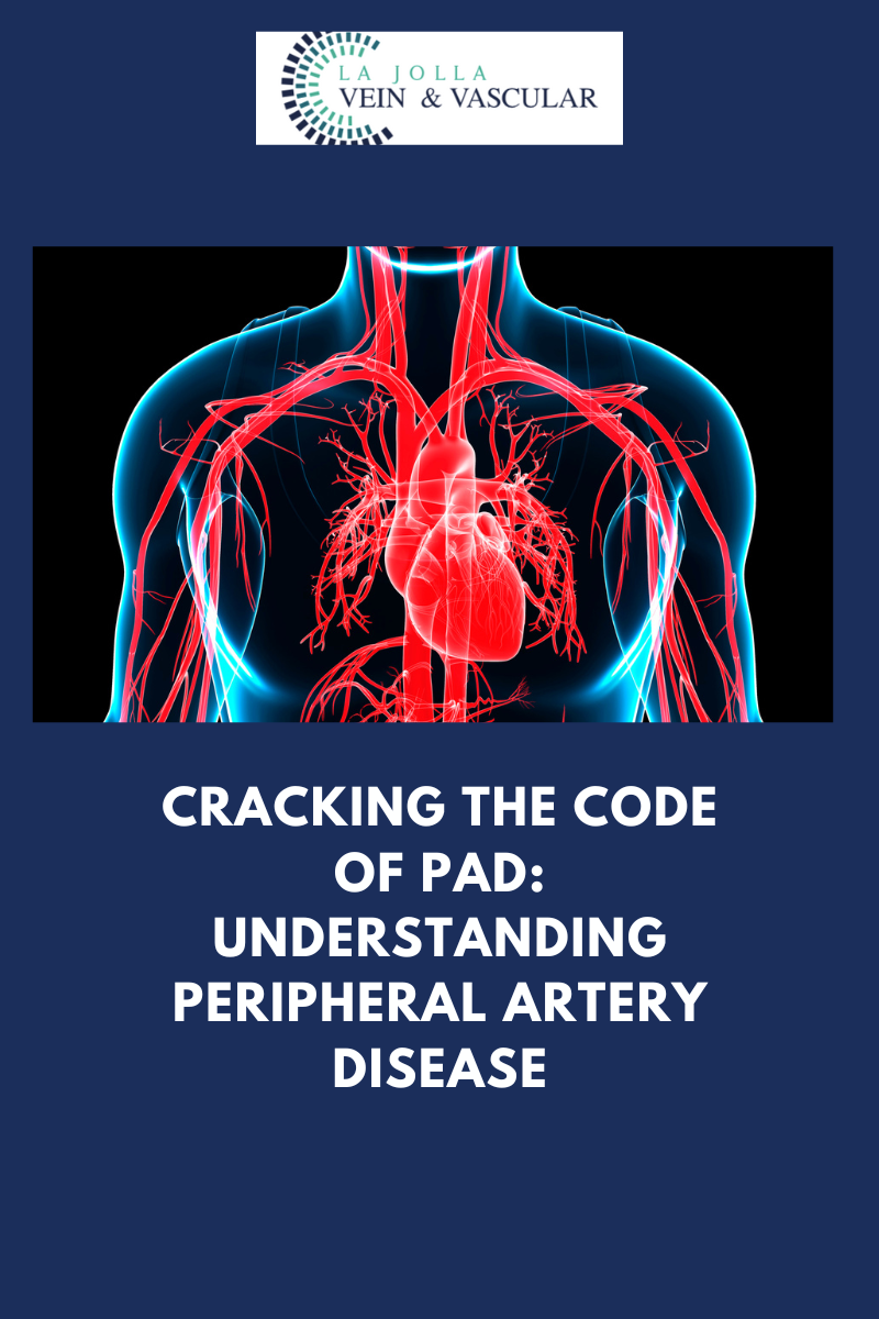 dec7 Understanding Peripheral Artery Disease(PAD) & Treatment